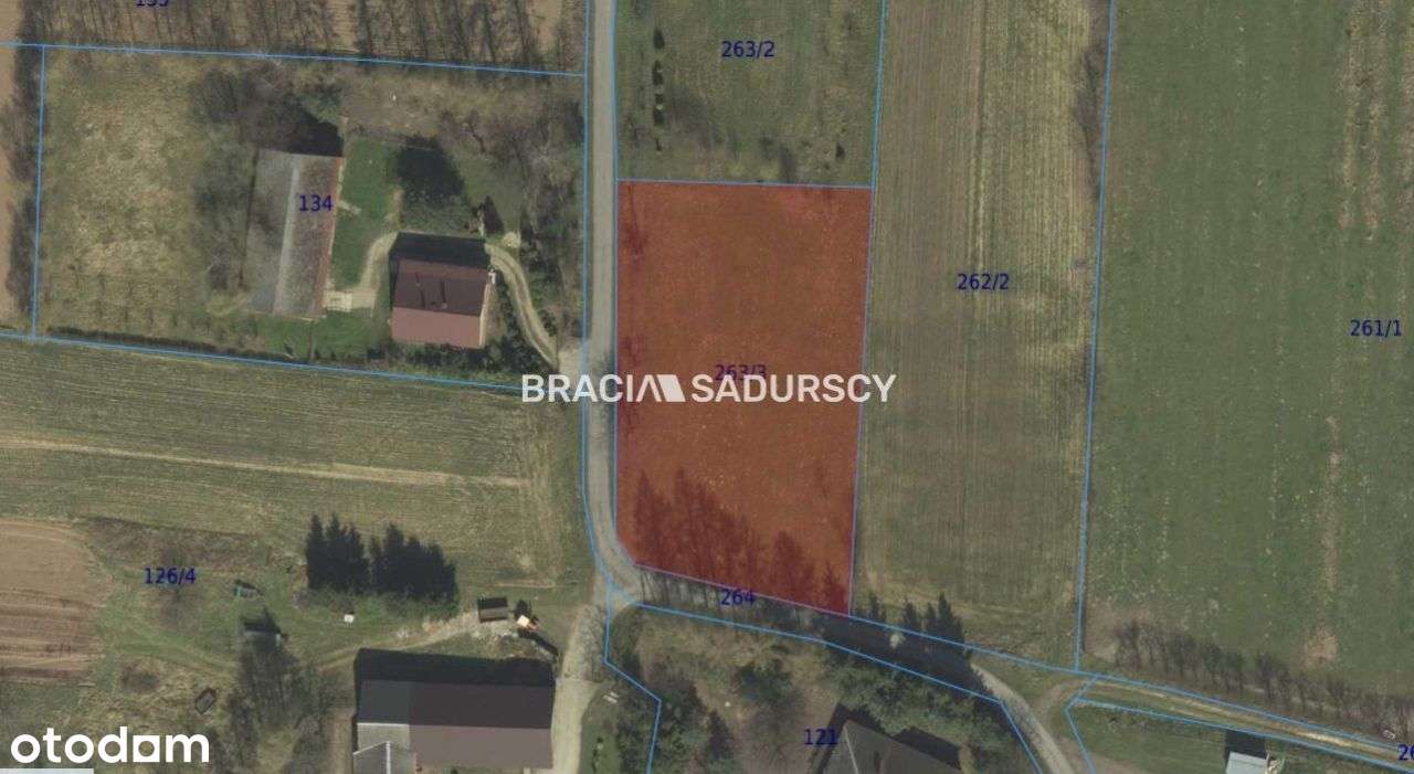 20 ar działka budowlana w Nieszkowicach Małych - Pełny obrazek: 5/15