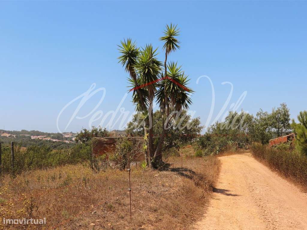 Quinta de 25ha com projeto aprovado - São Teotónio - Odemira-6