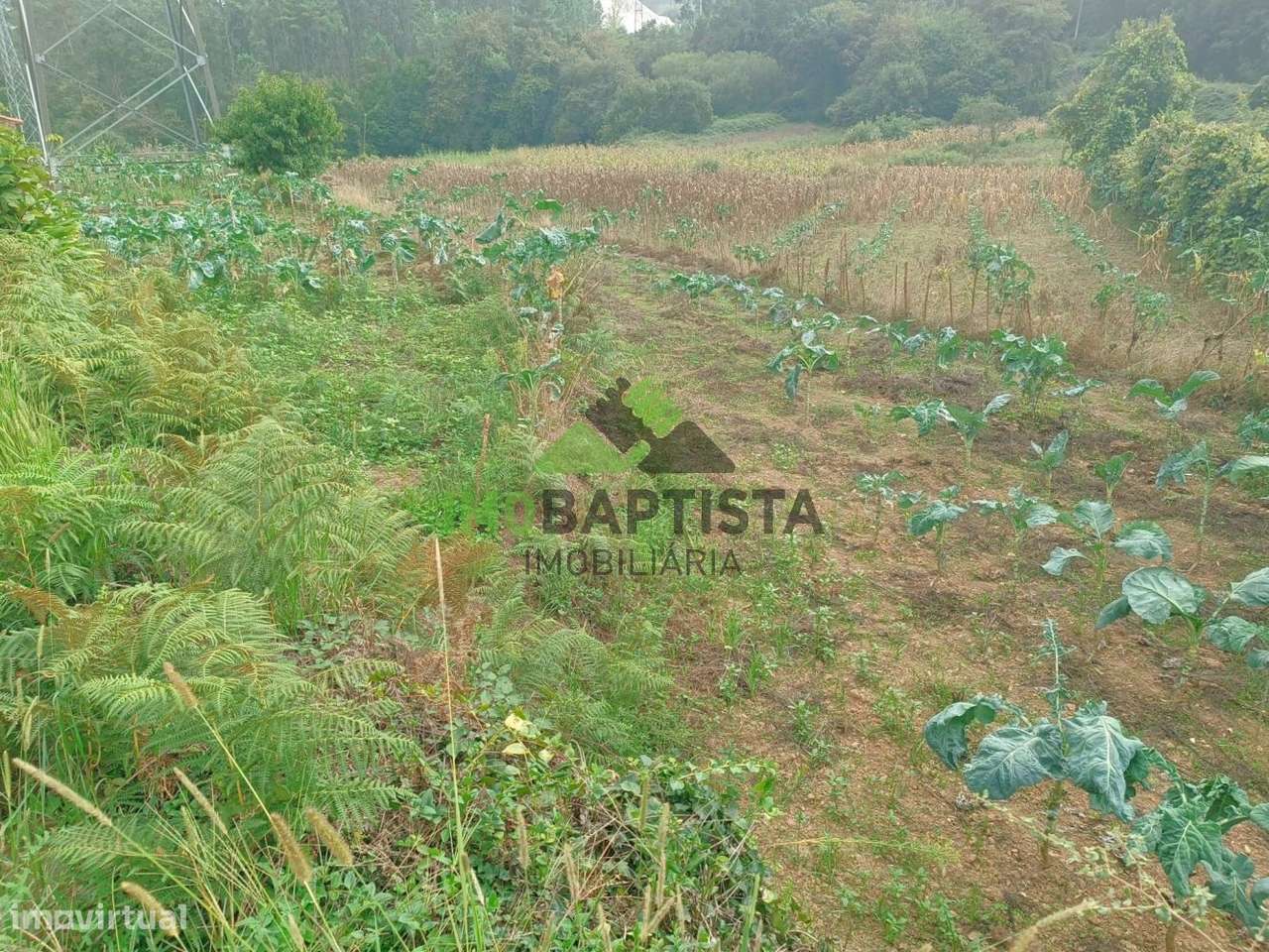 Terreno p/ construção nas Caldas de São Jorge (2200 m2)-6