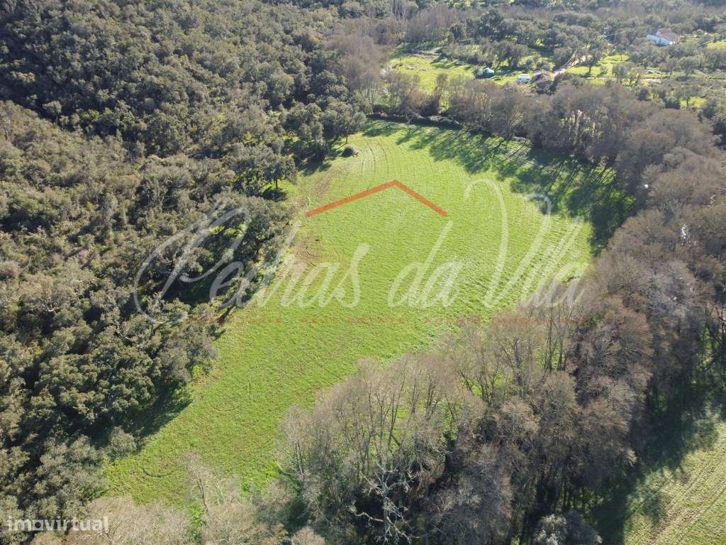 Monte Alentejano de 36ha com 3 ruinas - Pego das Pias - Odemira-29