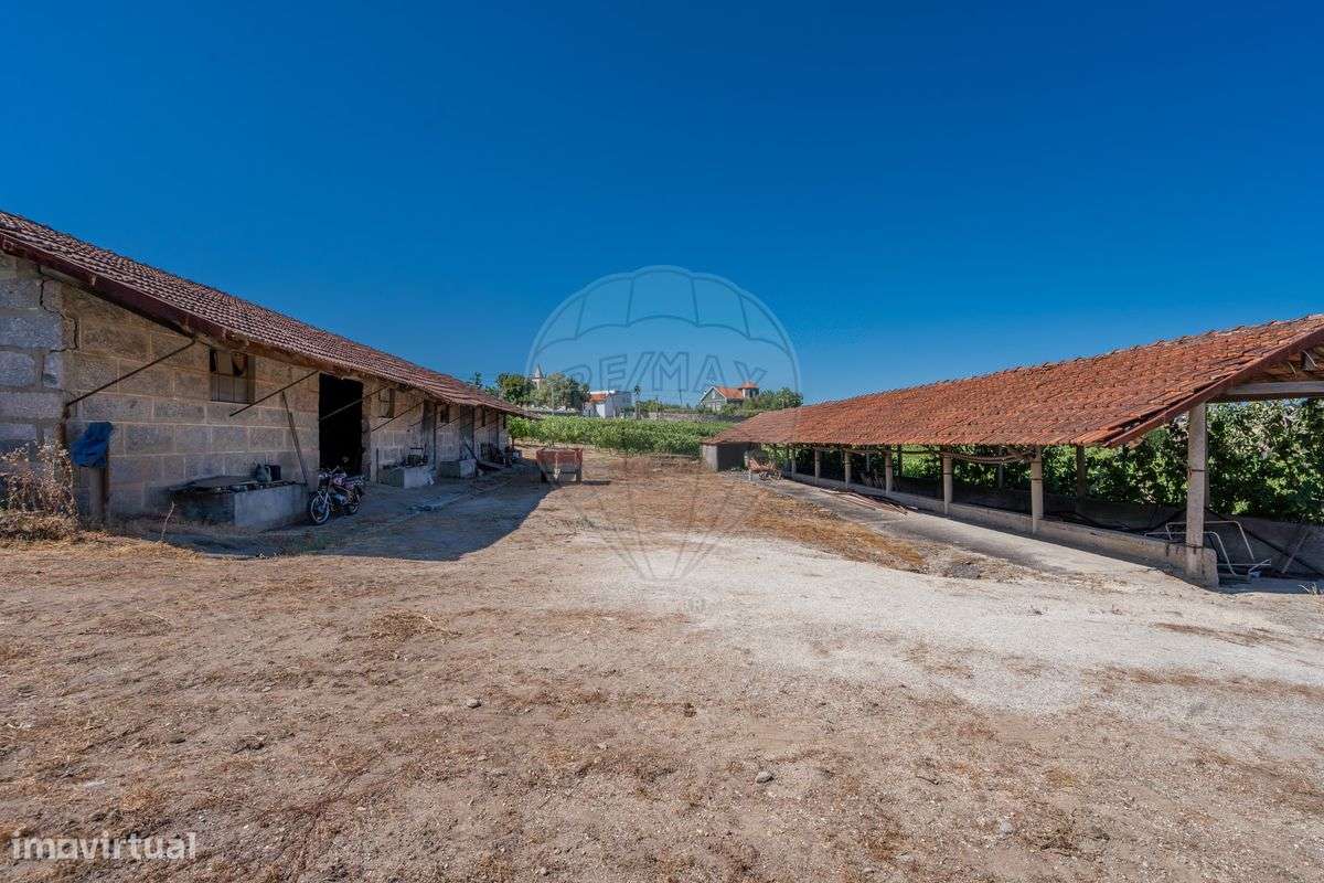 Quinta  para venda - Grande imagem: 5/21