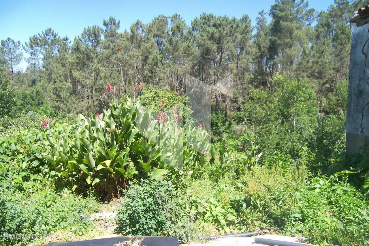 Terreno Para Construção T2 Venda em Dardavaz,Tondela - Grande imagem: 2/11