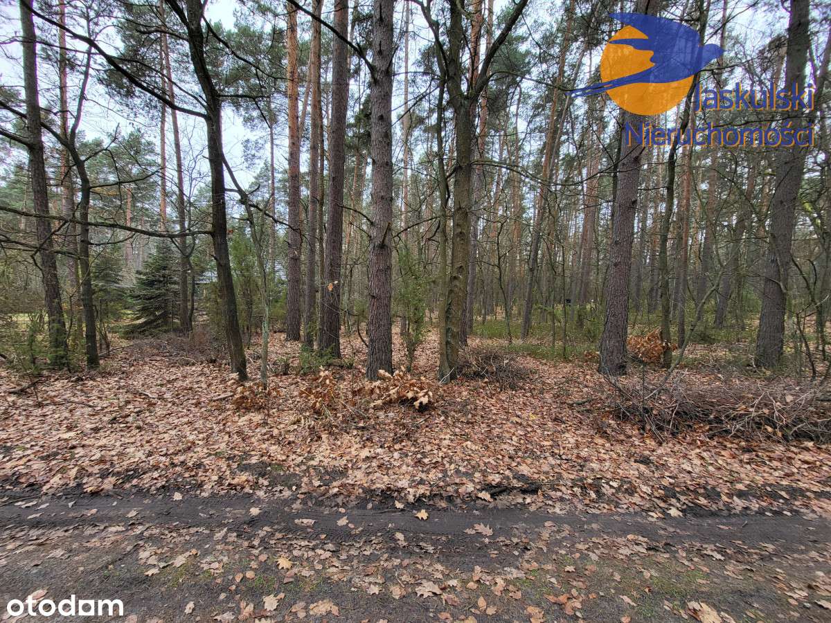 Osiedle Wilga - Pełny obrazek: 3/12