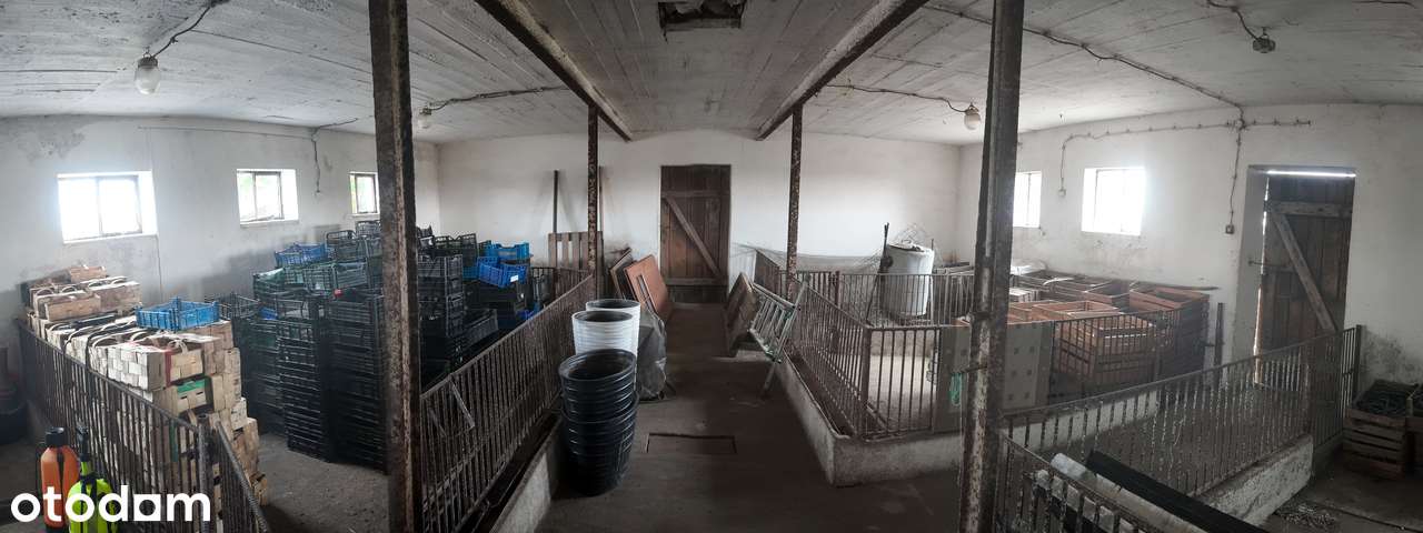 Siedlisko dom z zabudowaniami gospodarczymi na dużej działce 1,85 ha-18