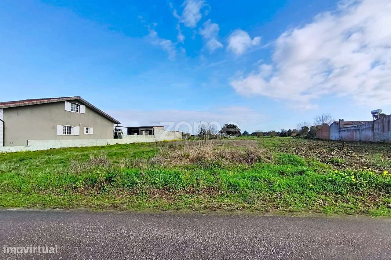 Terreno para moradia isolada ou 2 moradias geminadas_1900m2_Vagos - Grande imagem: 2/3
