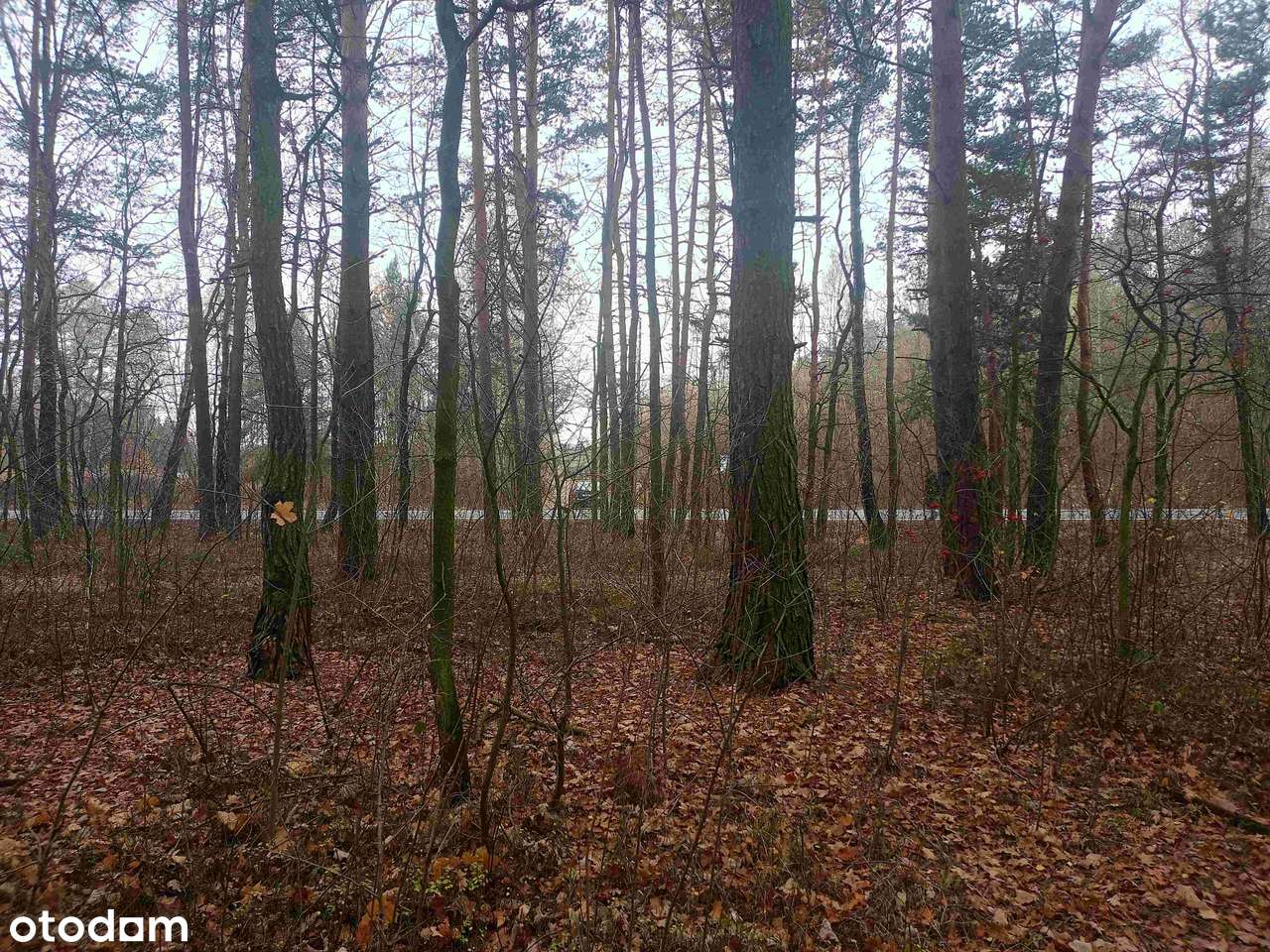 Działka usługowo-budowlana z przeznaczeniem na parking lub budowę domu-15