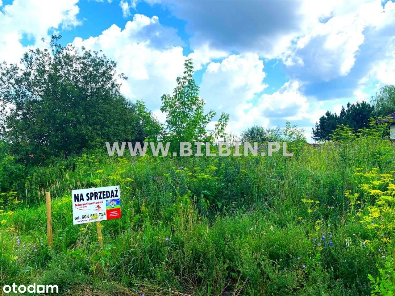 Rezerwacja - Pełny obrazek: 4/5