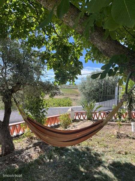 Monte Típico Alentejano - Grande imagem: 4/12