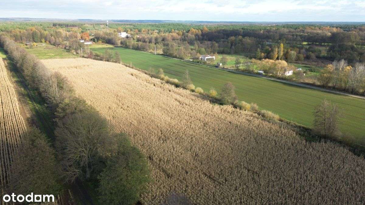 3195m2*3058m2*12minut do Torunia - Pełny obrazek: 2/16