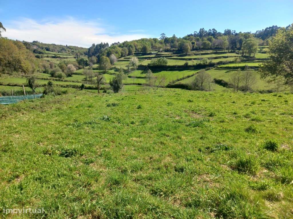 Casa para restauro em Bico-13