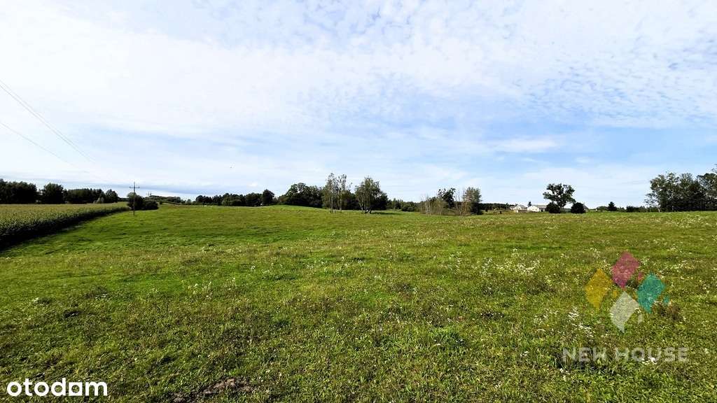 Działka z możliwością zabudowy (3 domy) - Pełny obrazek: 4/9