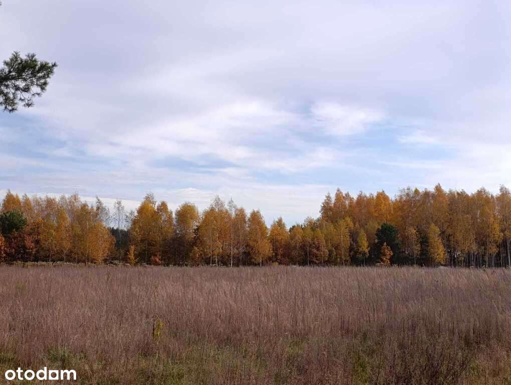 Działka budowlana w Dąbrówce Wyłazy, przy lesie-11