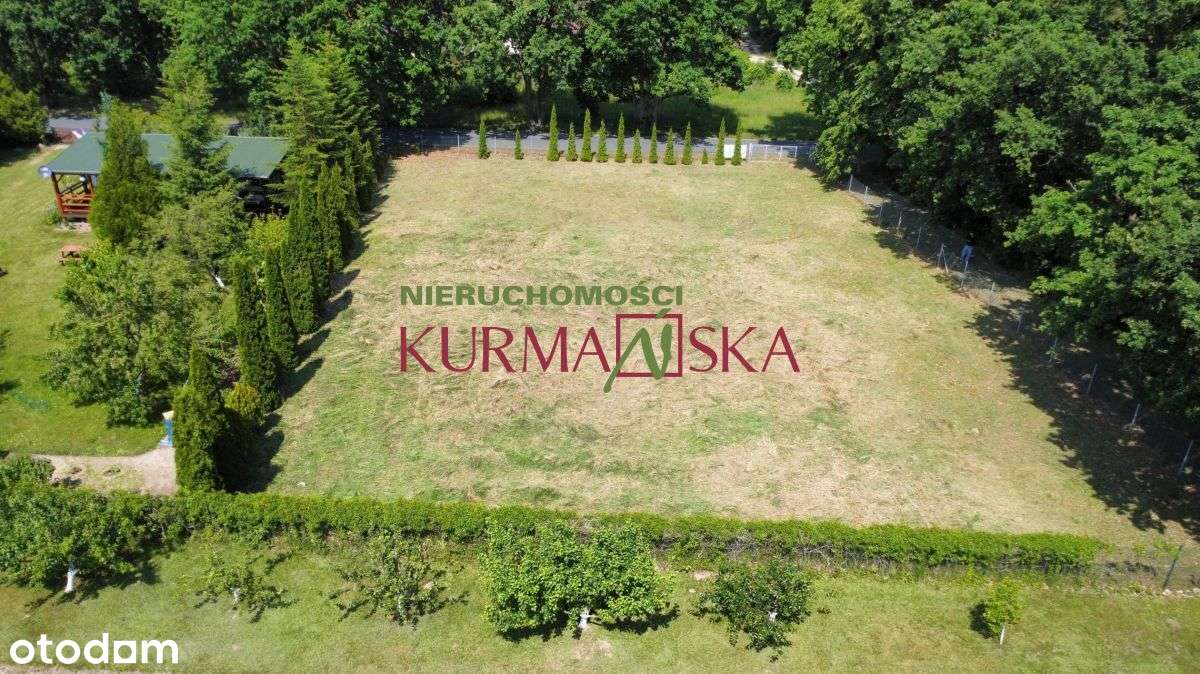 Działka w Niesulicach - Pełny obrazek: 4/6