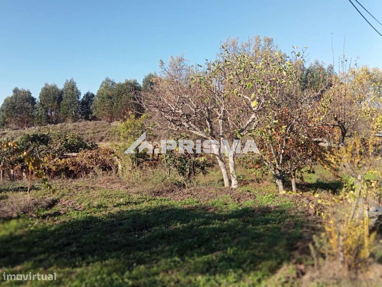 Quintinha para venda com construção rural para venda em Escalos de Bai-20