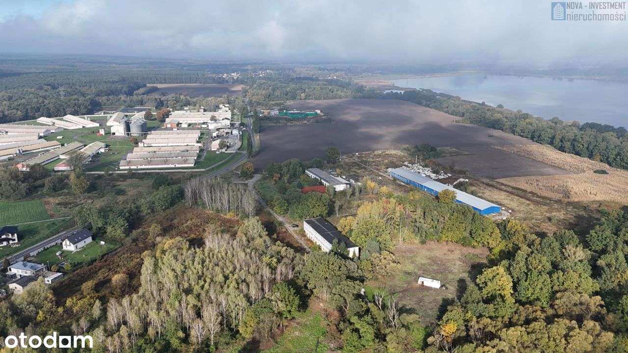 2 hale produkcyjne | teren 5ha | dobry dojazd - Pełny obrazek: 5/16