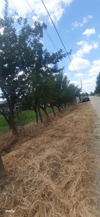 0% COMISION - TEREN GENEROS 5000 MP  GOLESTI - ARGES - Imagine principală: 3/3