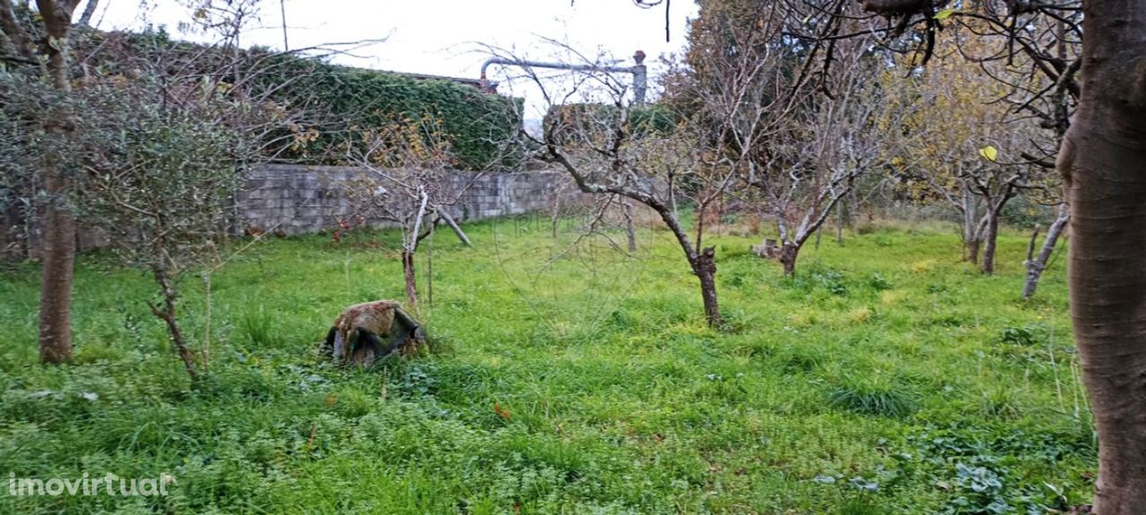 Terreno  para venda