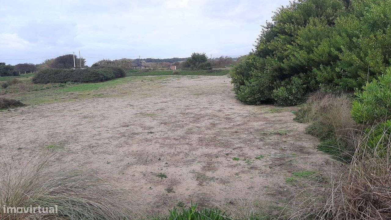 Terreno agrícola em Belinho - Grande imagem: 2/5
