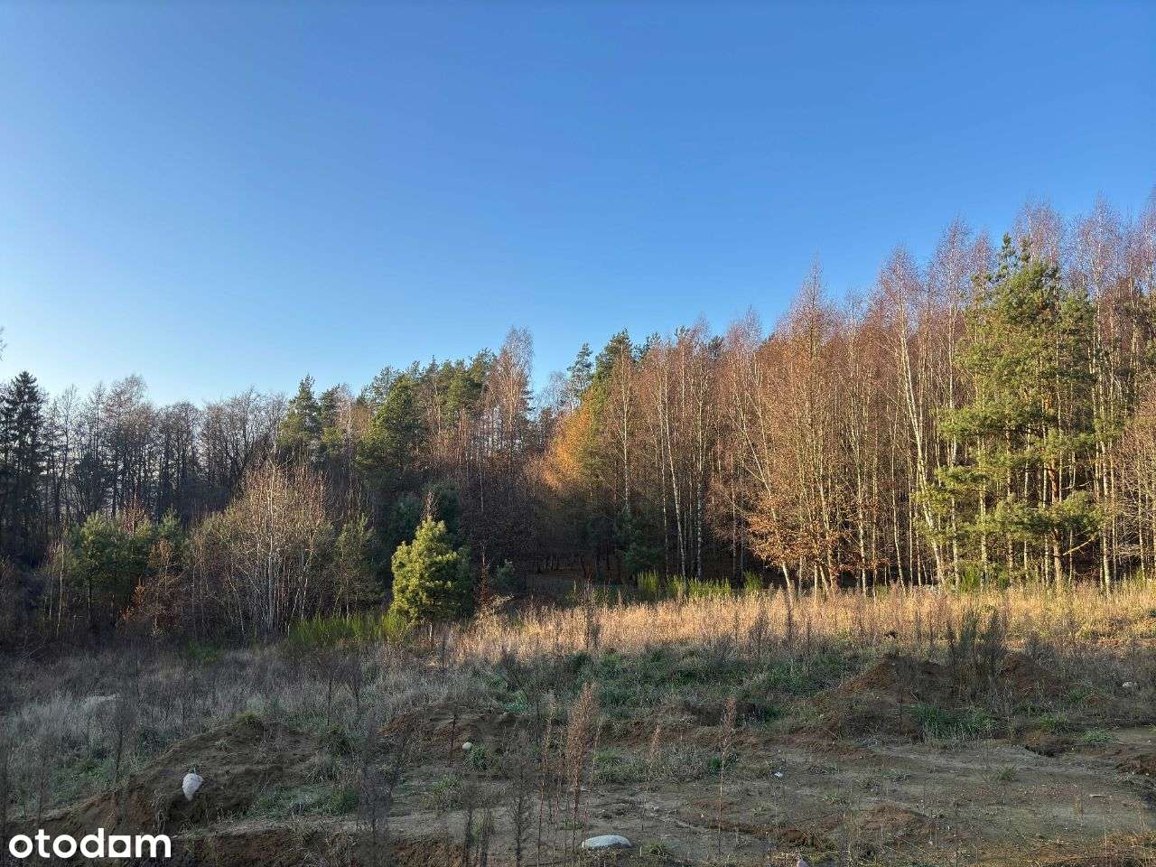 Działka budowlana przy lesie 2097m2 w Zbychowie