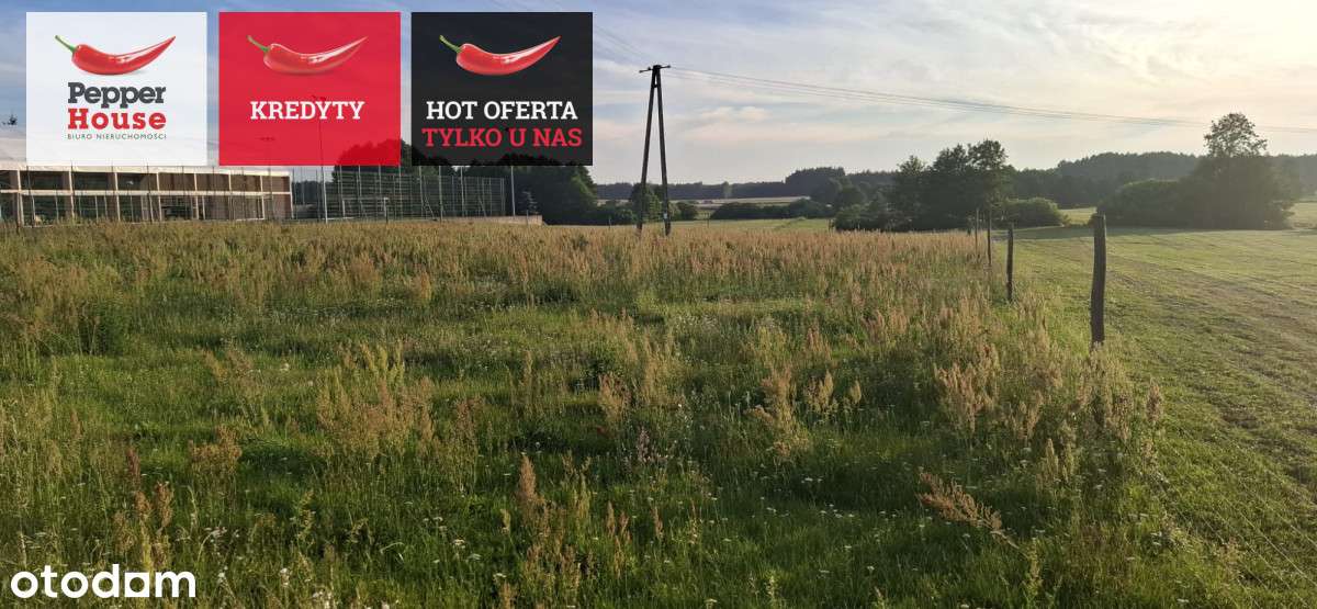 Działka budowlana - Bory tucholskie - Pełny obrazek: 4/5