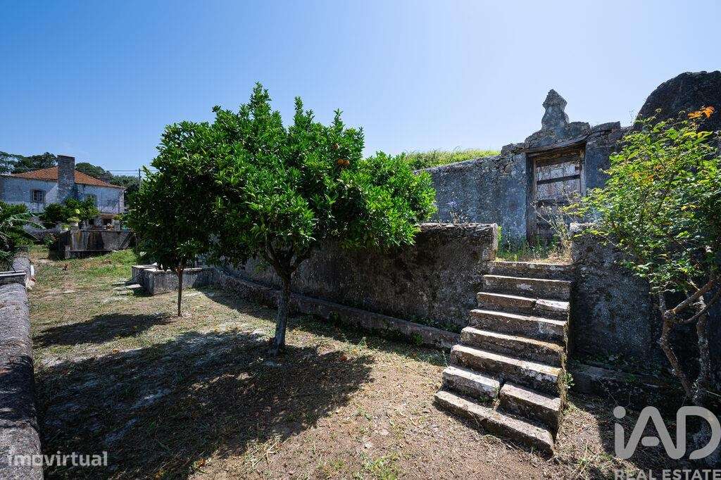 Quinta T7 em Santo Quintino de 825,00 m2 - Grande imagem: 4/30