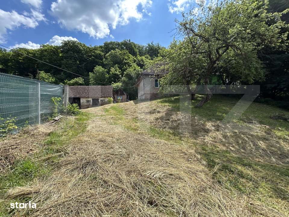 Teren podul Jelnei 3306 mp + casa veche - Imagine principală: 2/5