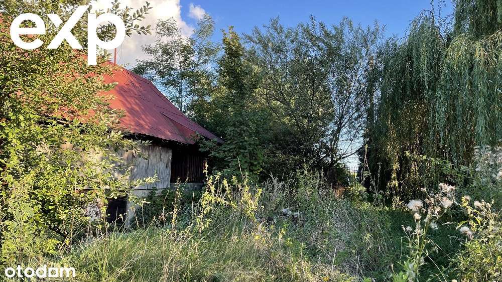 Sprzedam piękną działkę, Regnów okolice Rawy Maz. - Pełny obrazek: 5/15