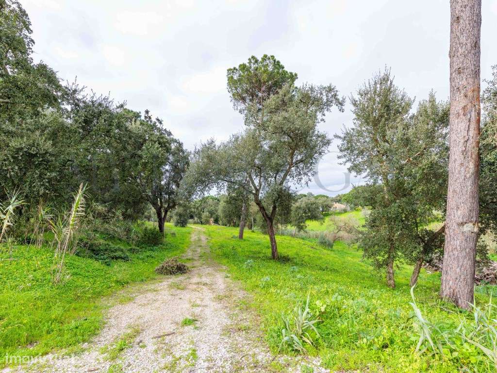 'Casa do Bosque': Terreno Urbano de 1 Hectare em Azeitão - Onde o L...-26