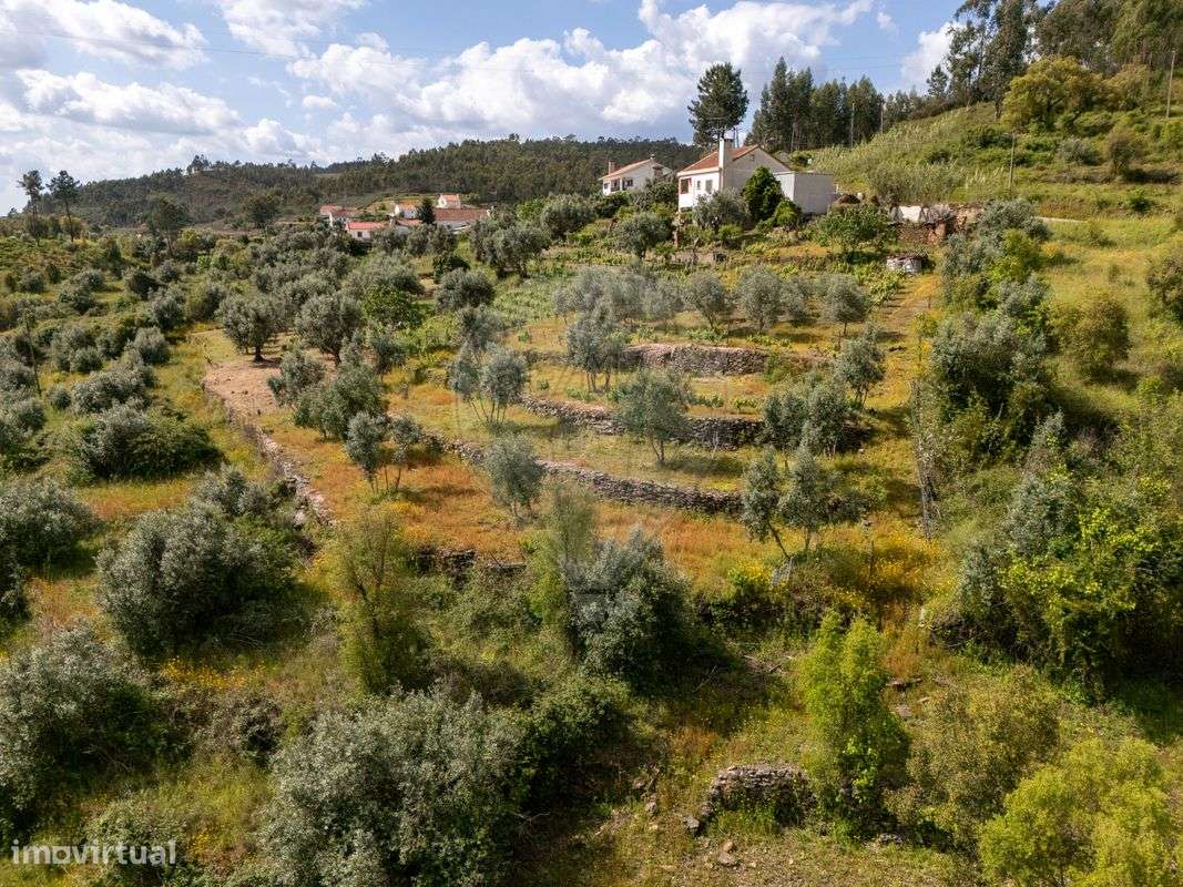 Moradia T0 para venda - Grande imagem: 4/10