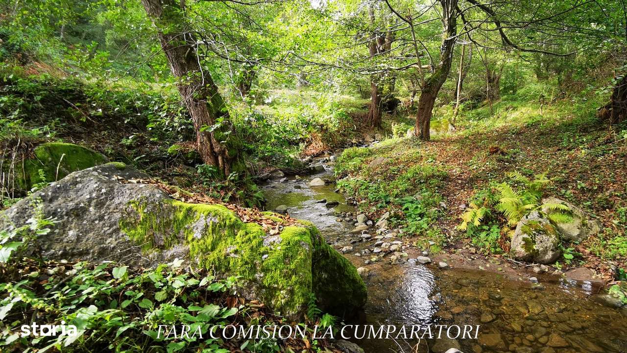 CABANA DE LA MUNTE, UN LOC FERMECATOR-19