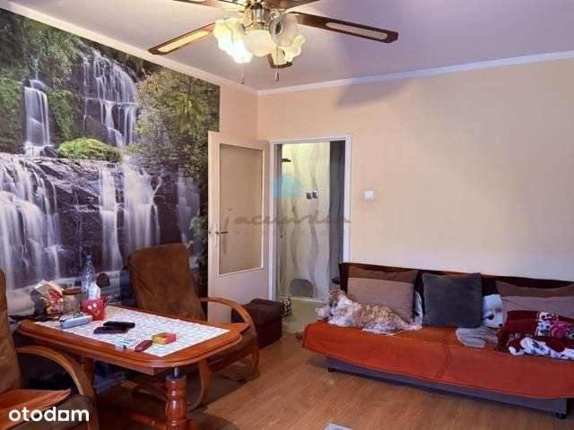 Mieszkanie atrakcyjna lokalizacja Tysiąclecie Gnie-1