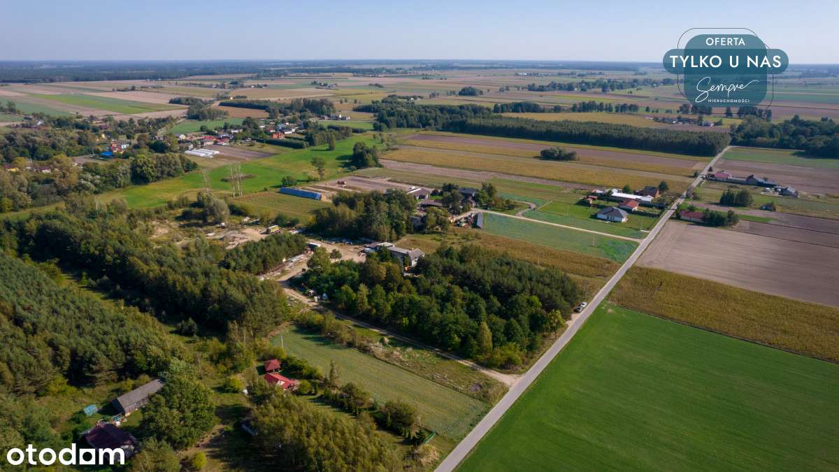Zalesiona działka z możliwością zabudowy - Pełny obrazek: 4/20