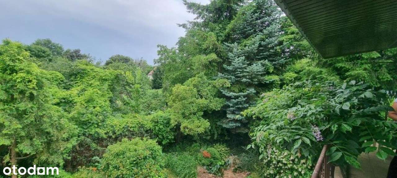 Dom z potencjałem - dwa poziomy, piękna działka, świetna lokalizacja!-3