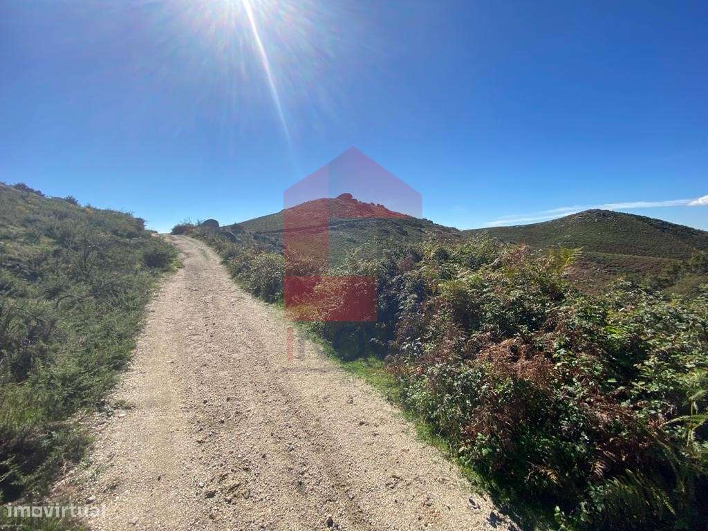 Terreno florestal, Valdreu - Grande imagem: 4/4