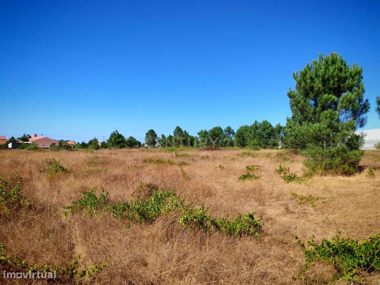 Terreno rústico com 20.000 m2 - Vale de Touros, Palmela - Grande imagem: 5/18