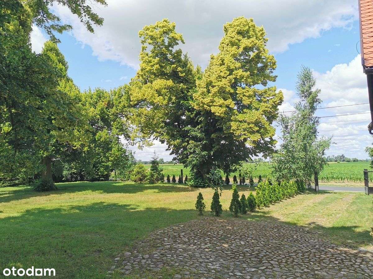 Klimatyczny dom z potencjałem i dużą działką-18