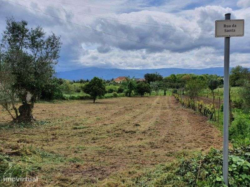 Terreno p construção 1344m2 Poiares - Coimbra - Grande imagem: 5/6