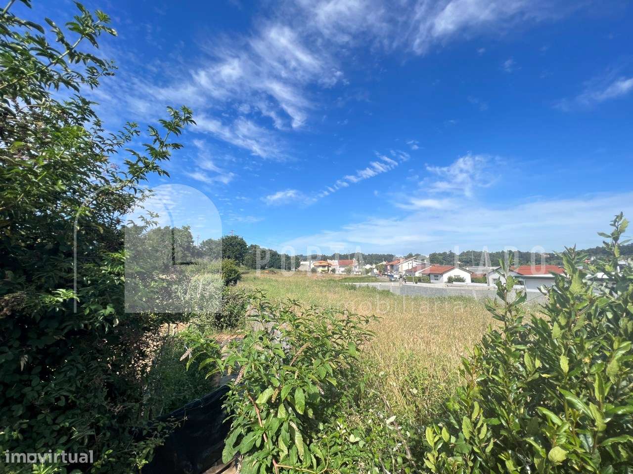 Terreno em Anta – Espinho | 2.538m² com projeto aprovado para moradia - Grande imagem: 3/19