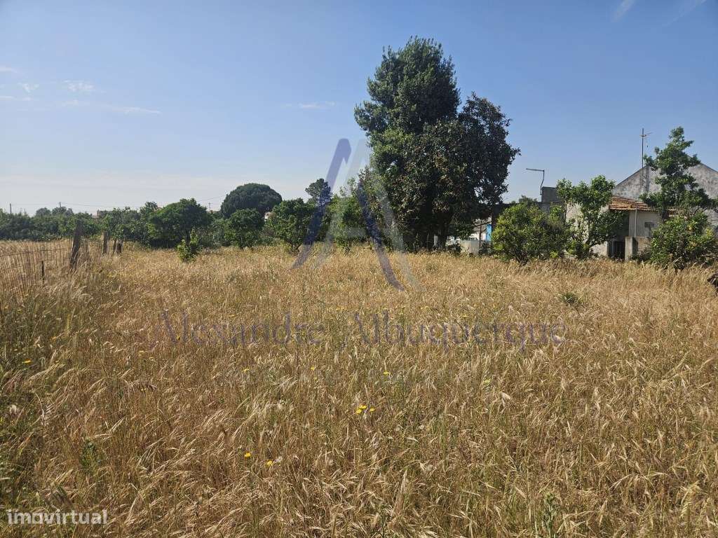 Quinta com 3 Habitações | Pinhal Novo | Terreno 5.400 m²-18