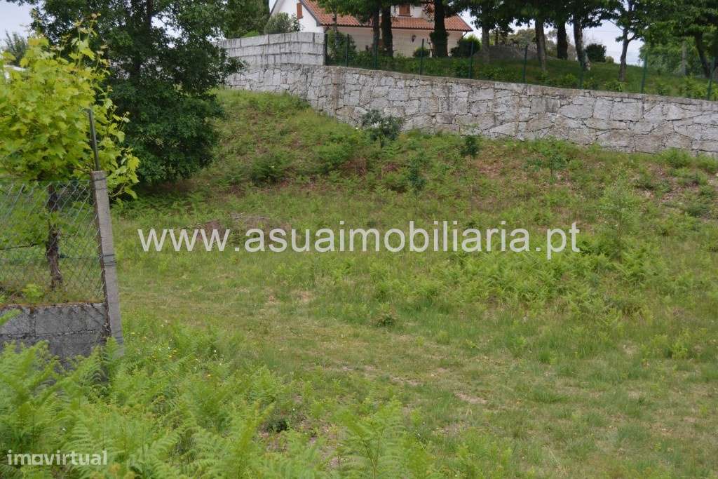 Terreno - Cerdeirinhas / Vieira do Minho - Grande imagem: 5/7