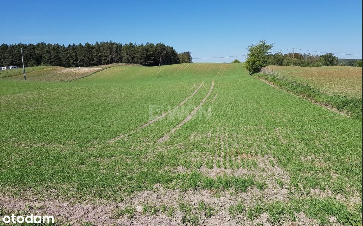 Na sprzedaż działka budowlana w Bogaczewie