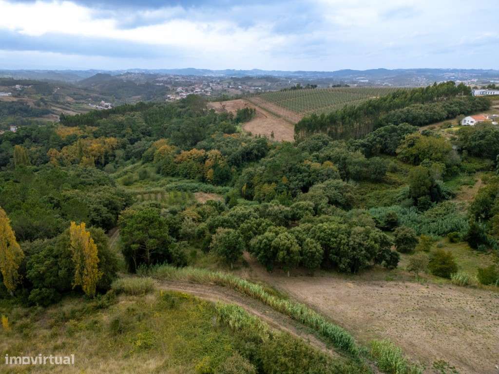 Terreno com localização privilegiada e vista maravilhosa - Grande imagem: 4/14