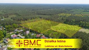 Działka Leśna 33003 m2 Lubliniec Biała Kolonia