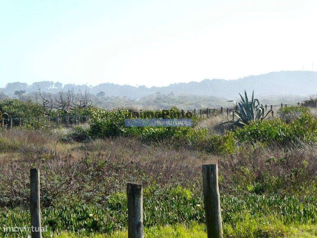 Terreno urbano, LOTE, p/ construção MORADIA R/Chão e andar. Afife, ... - Grande imagem: 5/6