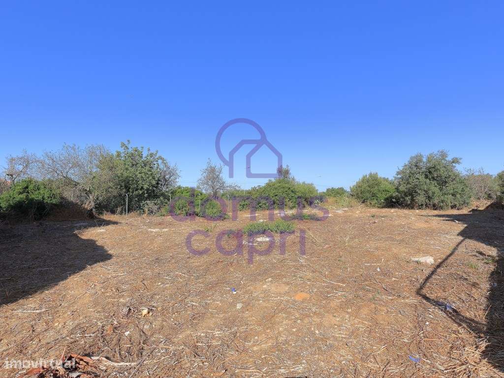 Terreno para Construção em Fuzeta - Grande imagem: 3/19