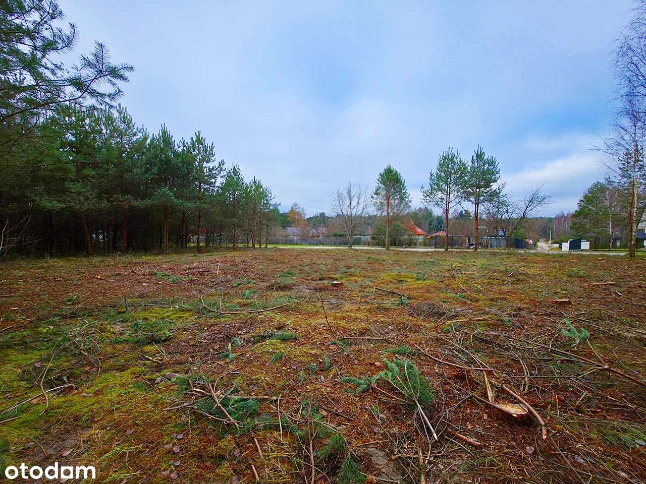 Działka budowlana | Radlin | Ogrodzenie-5