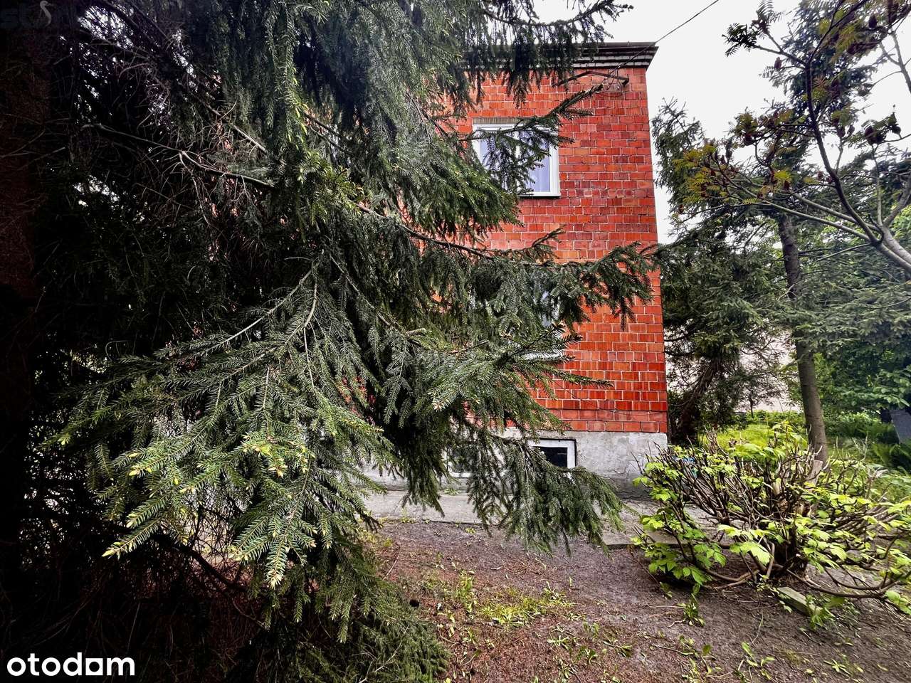 Dom 190m2 ogród 2156m2 MPZP centrum Paprotnia - Pełny obrazek: 4/18