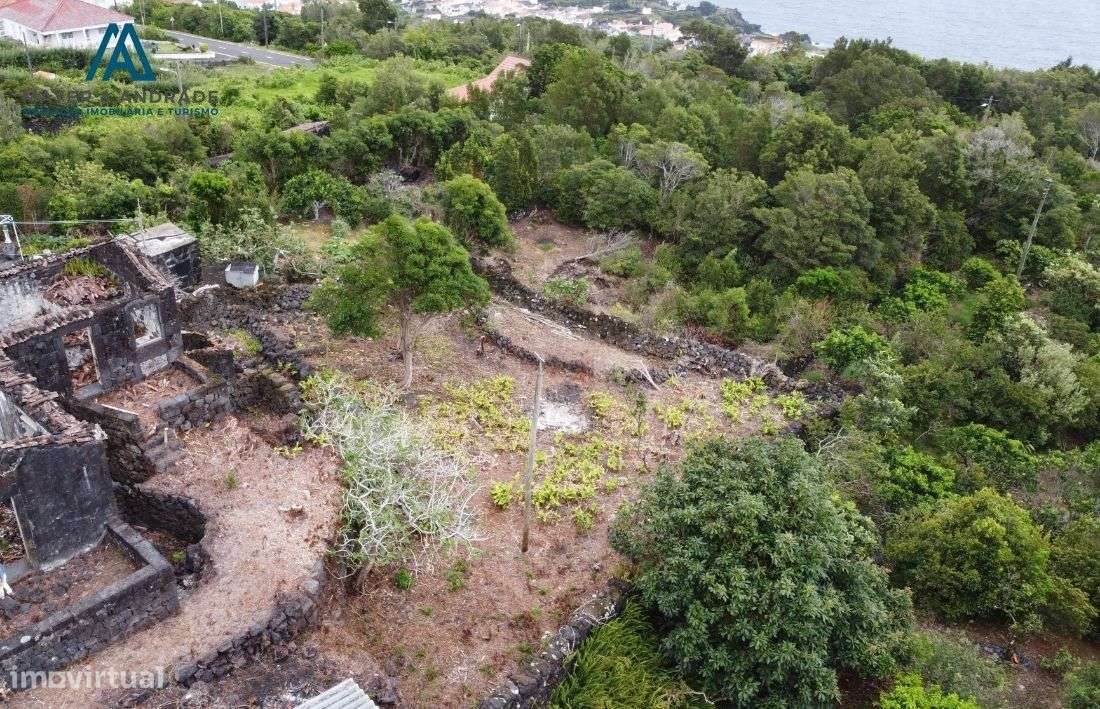 Quintinha Ribeiras- Ilha do Pico - Grande imagem: 4/19