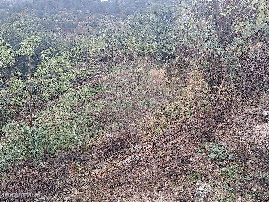 Terreno  para venda - Grande imagem: 5/14