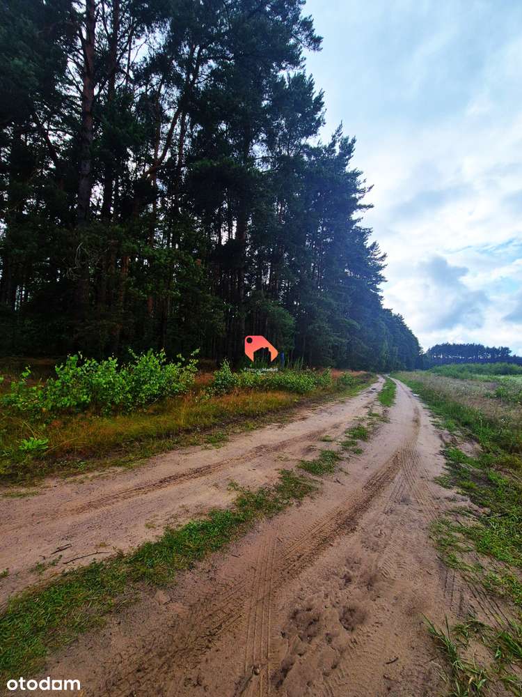 Działka Z Własną Drogą Nekla  1265m2 Budowlana - Pełny obrazek: 5/8